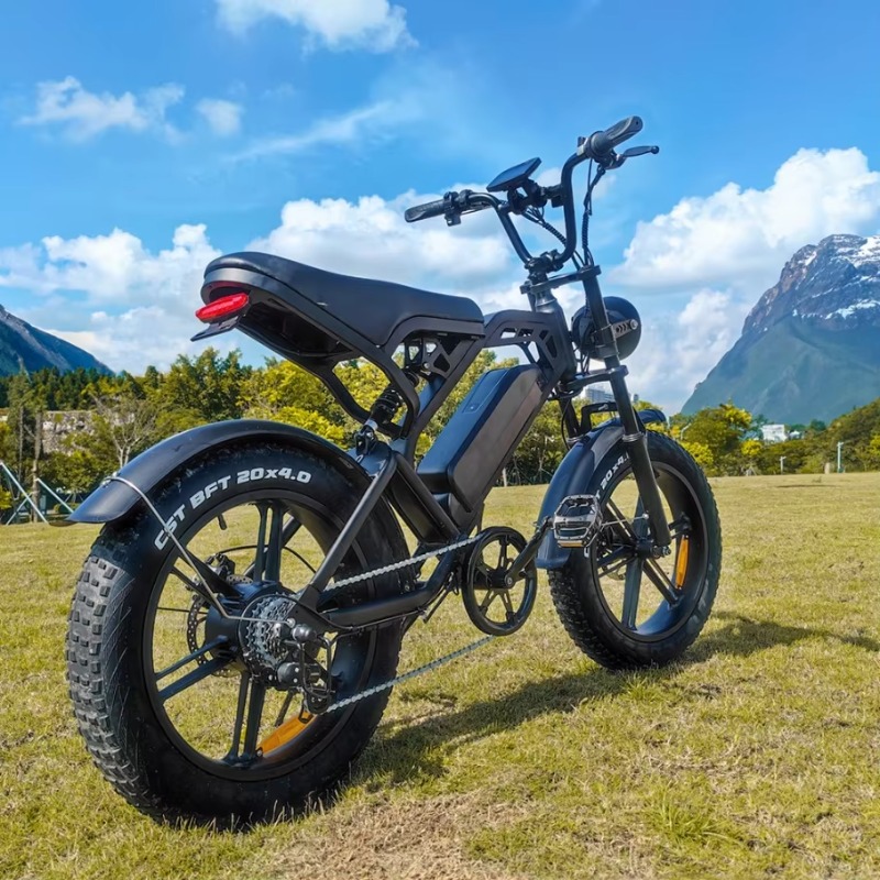 YTYIN 2024 Made In China Facto - Carbon Bike Frame review and price